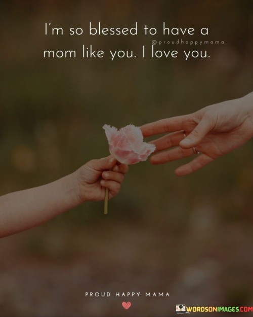 I'm So Blessed To Have A Mom Like You I Love You Quotes