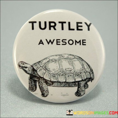 Turtley-Awesome-Quotes.jpeg