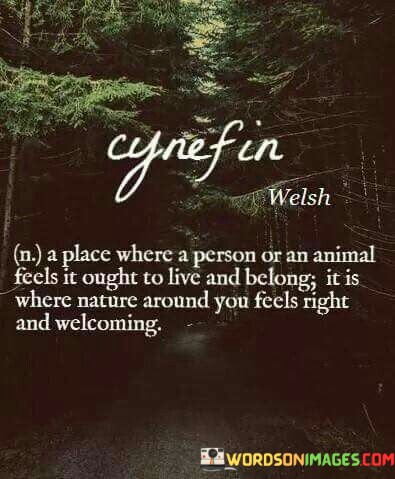 A-Place-Where-A-Person-Or-An-Animal-Feels-It-Ought-To-Quotes.jpeg