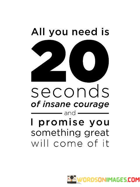 All-You-Need-Is-20-Second-Of-Insane-Courage-And-I-Promise-You-Quotes.jpeg