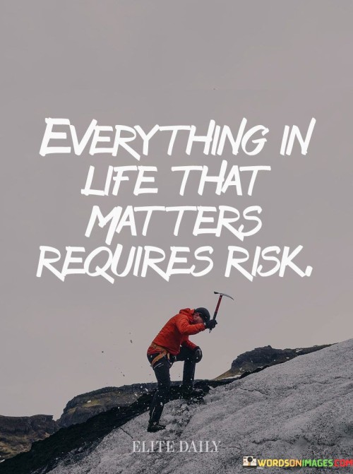 Everything-In-Life-That-Matters-Requires-Risk-Quotes.jpeg