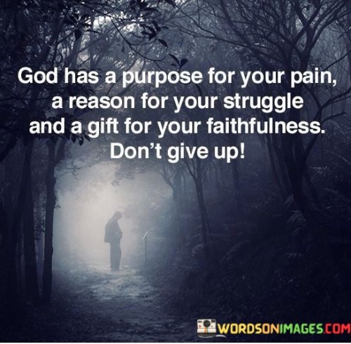 God-Has-A-Purpose-For-Your-Pain-A-Reason-For-Your-Struggle-And-A-Gift-Quotes.jpeg