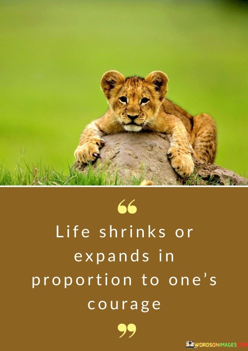 Life-Shrinks-Or-Expands-In-Proportion-To-Ones-Courage-Quotes.jpeg