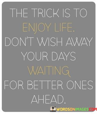 The-Trick-Is-To-Enjoy-Life-Dont-Wish-Away-Your-Days-Quotes.jpeg