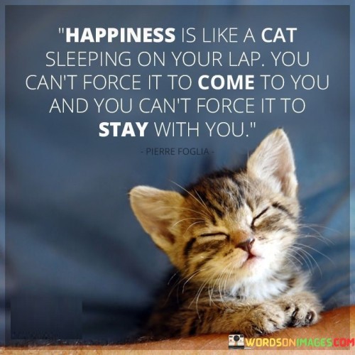 Happiness Is Like A Cat Sleeping On Your Lap You Can't Quotes