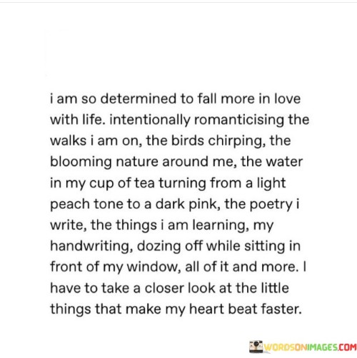 I-Am-So-Determined-To-Fall-More-In-Love-With-Life-Quotes.jpeg
