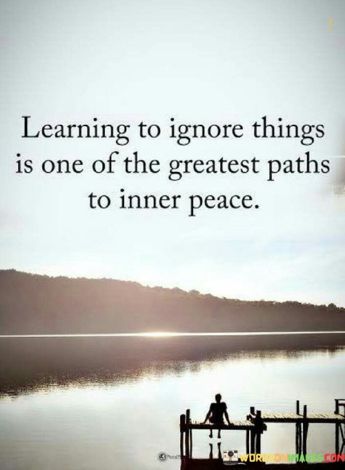 Learning To Ignore Things Is One Of The Greatest Paths Quotes