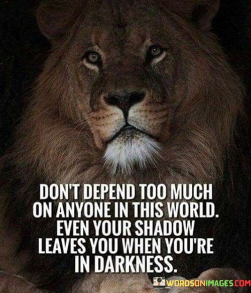 Dont-Depend-Too-Much-On-Anyone-In-This-World-Even-Your-Quotes.jpeg