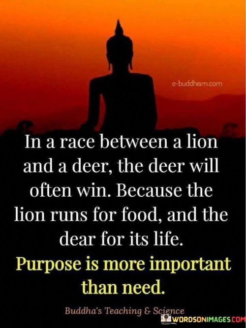 In A Race Between A Lion And A Deer The Deer Will Often Win Quotes