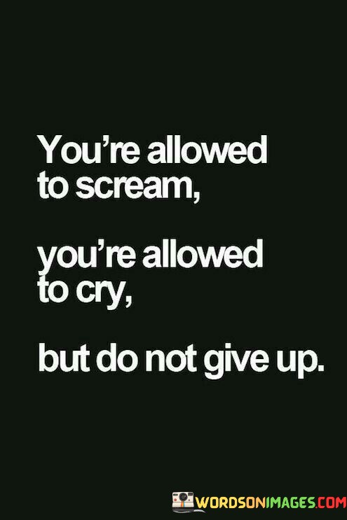 Youre-Allowed-To-Scream-Youre-Allowed-To-Cry-But-Do-Quotes.jpeg