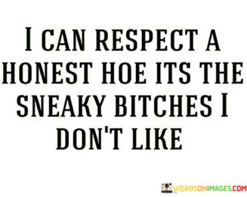 I-Can-Respect-A-Honest-Hoe-Its-The-Sneaky-Bitches-I-Dont-Like-Quotes.jpeg