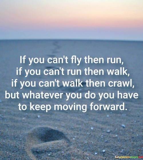 If-You-Cant-Fly-Then-Run-If-You-Cant-Run-Then-Walk-If-You-Cant-Walk-Then-Crawl-Quotes.jpeg