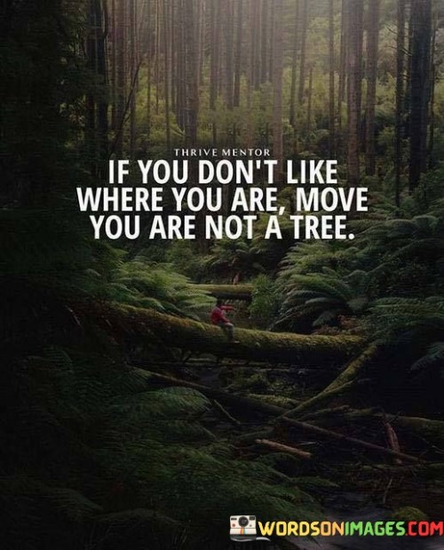 If-You-Dont-Like-Where-You-Are-Move-You-Are-Not-A-Tree-Quotes.jpeg