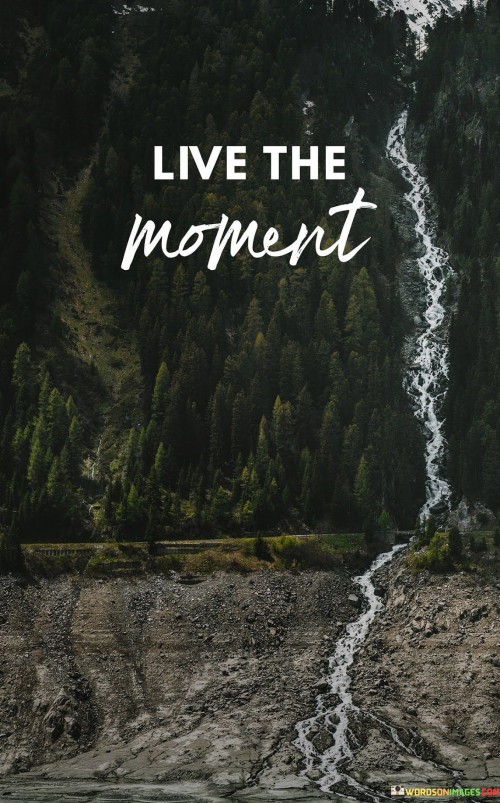 The quote "Live-The-Moment" encapsulates the idea of being present and fully engaged in the current moment of your life. It emphasizes the importance of cherishing and making the most of the here and now.

In today's fast-paced world, people often find themselves preoccupied with worries about the future or dwelling on the past. This quote encourages a shift in focus to the present moment. By doing so, we can savor life's experiences, connect more deeply with the people around us, and find a sense of contentment in the current circumstances.

"Live-The-Moment" serves as a reminder that life is a series of moments, and each one is a precious opportunity. By being mindful and fully present in these moments, we can lead a richer and more fulfilling life. It encourages us to let go of distractions, worries, and regrets, and instead, embrace the beauty and possibilities of the present moment.