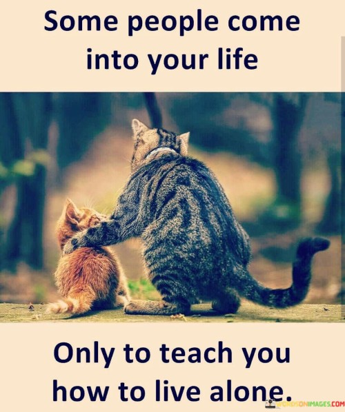 Some-People-Come-Into-Your-Life-Only-To-Teach-You-How-To-Live-Alone-Quotes.jpeg