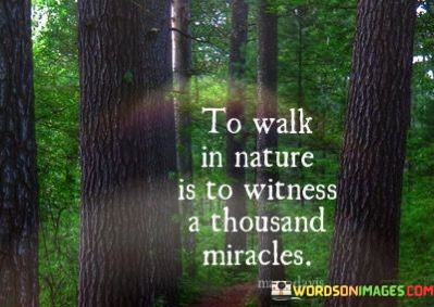 To-Walk-In-Nature-Is-To-Witness-A-Thousand-Miracles-Quotes.jpeg