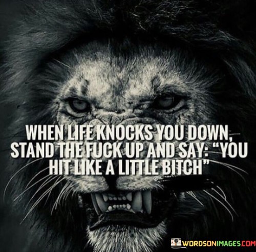 When-Life-Knocks-You-Sown-Stands-The-Fuck-Up-And-Say-Quotes.jpeg