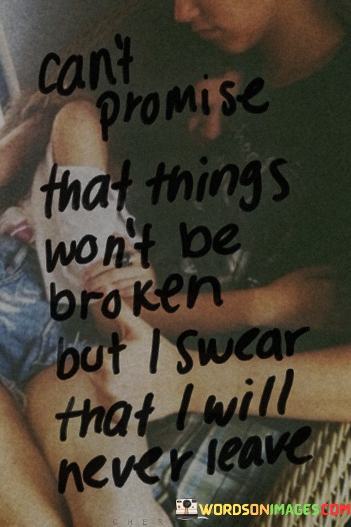 Cant-Promise-That-Things-Wont-Be-Broken-But-I-Swear-Quotes.jpeg