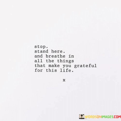 In the first paragraph, the essence of the quote is explored. The message encourages people to take a momentary break from their routines, stand still, and be present in the moment. This stillness allows for an opportunity to immerse oneself in the feelings of gratitude for the elements that enrich life.

The second paragraph delves into the significance of this practice. By stopping and immersing oneself in the present, individuals can become more attuned to the beauty and blessings that surround them. This practice of mindfulness fosters a deeper connection with life's simple joys, instilling a sense of awe and appreciation.

The final paragraph reflects on the broader impact of this practice. Regularly taking such breaks to embrace gratitude can lead to a more positive outlook and improved mental well-being. The quote encapsulates the idea that by actively engaging in moments of reflection and gratitude, individuals can find greater fulfillment in the journey of life.