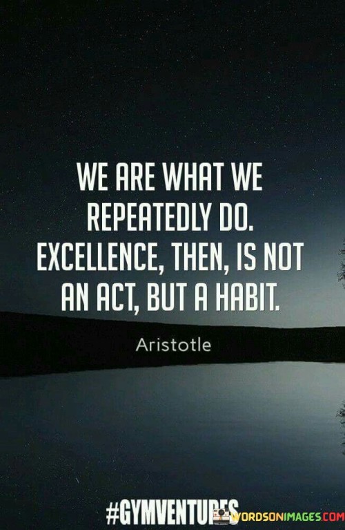 We-Are-What-We-Repeatedly-Do-Excellence-Then-Is-Not-Quotes.jpeg