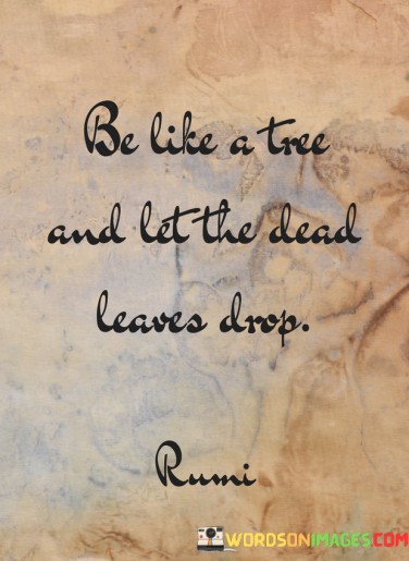 Be-Like-A-Tree-And-Let-The-Dead-Leaves-Drop-Quotes.jpeg