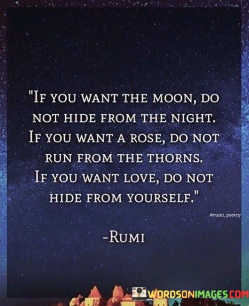 If-You-Want-The-Moon-Do-Not-Hide-From-The-Night-Quotes.jpeg