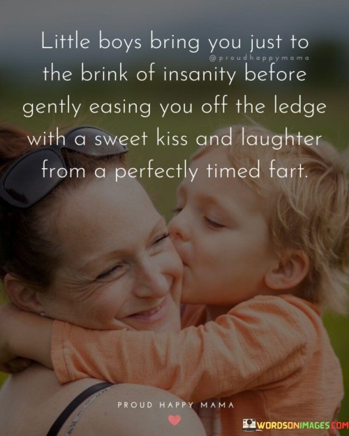 Little Boys Bring You Just To The Brink Of Insanity Quotes