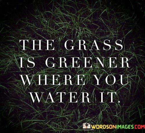 The-Grass-Is-Greener-Where-You-Water-It-Quotes.jpeg