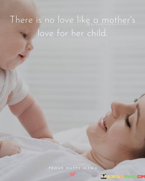 There Is No Love Like A Mother's Love For Her Child Quotes