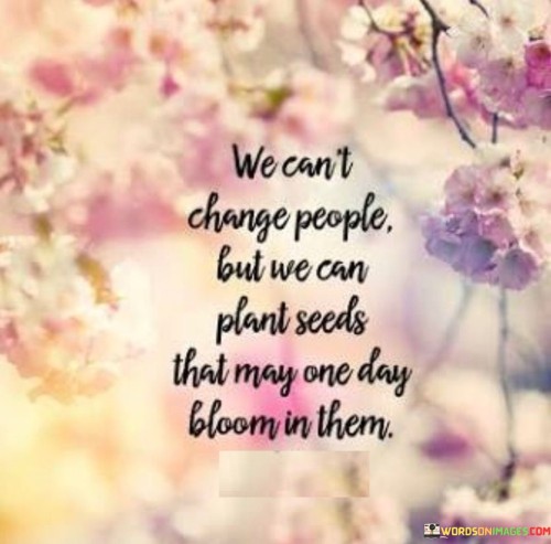 We Can't Change People But We Can Plant Seeds Quotes