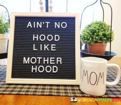 Ain't No Hood Like Mother Hood Quotes