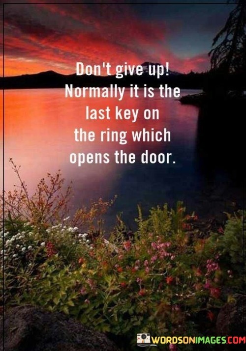 Dont-Give-Up-Normally-It-Is-The-Last-Key-On-The-Ring-Which-Opens-The-Door-Quotes.jpeg