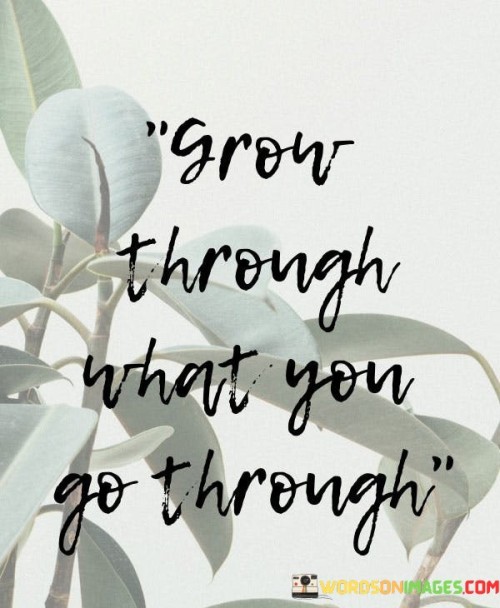 Grow-Through-What-You-Go-Through-Quotes.jpeg