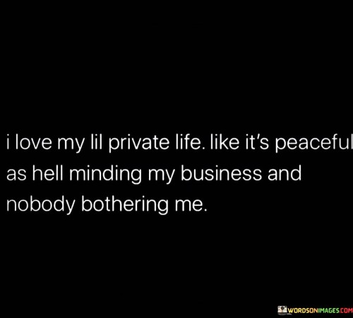 I-Love-My-Lil-Private-Life-Like-Its-Peaceful-As-Hell-Minding-Quotes.jpeg