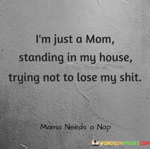 I'm Just A Mom Standing In My House Trying Quotes