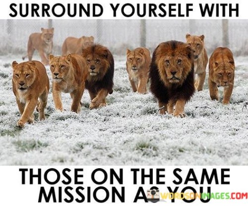 This quote is about friendship and working together. "Surround yourself with those on the same mission as you" means it's good to have friends who want to do similar things. It's like having teammates who want to win the same game.

Imagine you're planting a garden. "Surround yourself with those on the same mission as you" is like saying you should plant the same kind of flowers together. They'll grow better.

In simple words, this quote tells us to be friends with people who want to do similar things. It's like teaming up with friends who have the same goals as you. When you have friends with the same mission, you can help each other and have more fun reaching your goals.