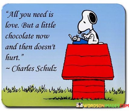 All-You-Need-Is-Love-But-A-Little-Chocolate-Now-Quotes.jpeg