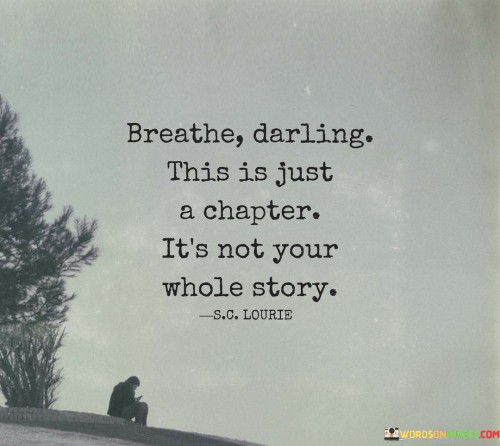 Breathe Darling This Is Just A Chapter It's Not Your Whole Story Quotes