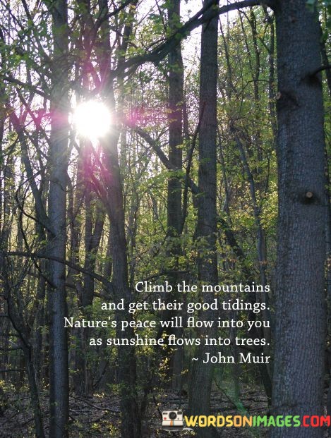 Climb-The-Mountain-And-Get-Their-Good-Tidings-Natures-Peace-Quotes.jpeg