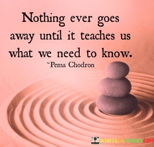 Nothing Ever Goes Away Until It Teaches Us Quotes