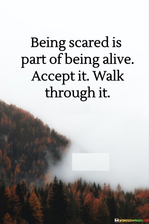 Being Scared Is Part Of Being Alive Quotes