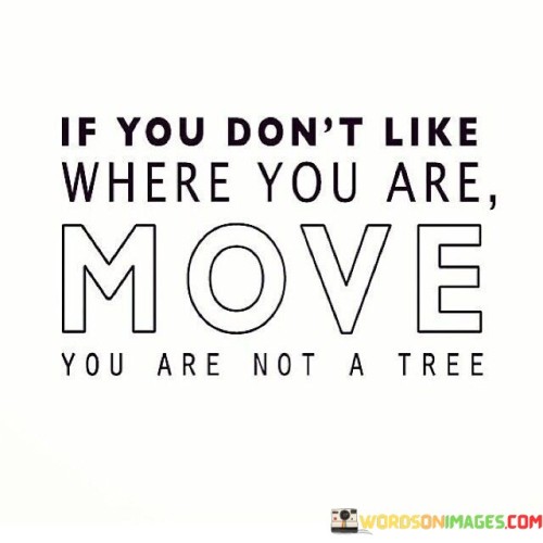 If-You-Dont-Like-Where-You-Are-Move-You-Are-Not-A-Tree-Quotes.jpeg