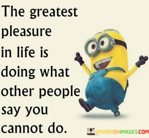 The-Greatest-Pleasure-In-Life-Is-Doing-What-Quotes.jpeg