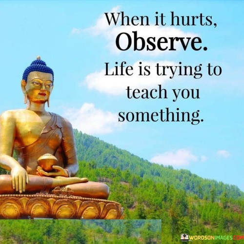 When It Hurts Observe Life Is Trying Quotes