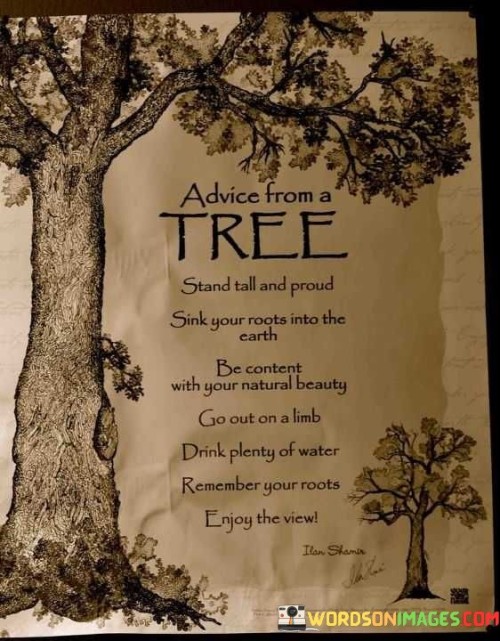 Advice-From-A-Tree-Stand-Tall-And-Proud-Sink-Your-Quotes.jpeg