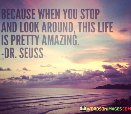 Because-When-You-Stop-And-Look-Around-This-Life-Is-Quotes.jpeg