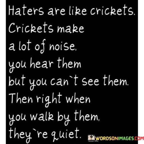 Haters-Are-Like-Crickets-Crickets-Make-A-Lot-Quotes.jpeg