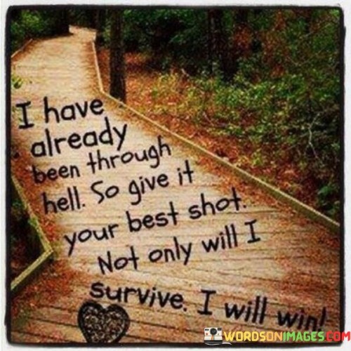 I-Have-Already-Been-Through-Hell-So-Give-It-Quotes.jpeg