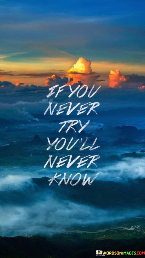 If-You-Never-Try-Youll-Never-Know-Quotes.jpeg