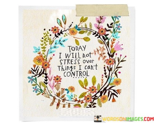 Today I Will Not Stress Over Things I Can't Control Quotes